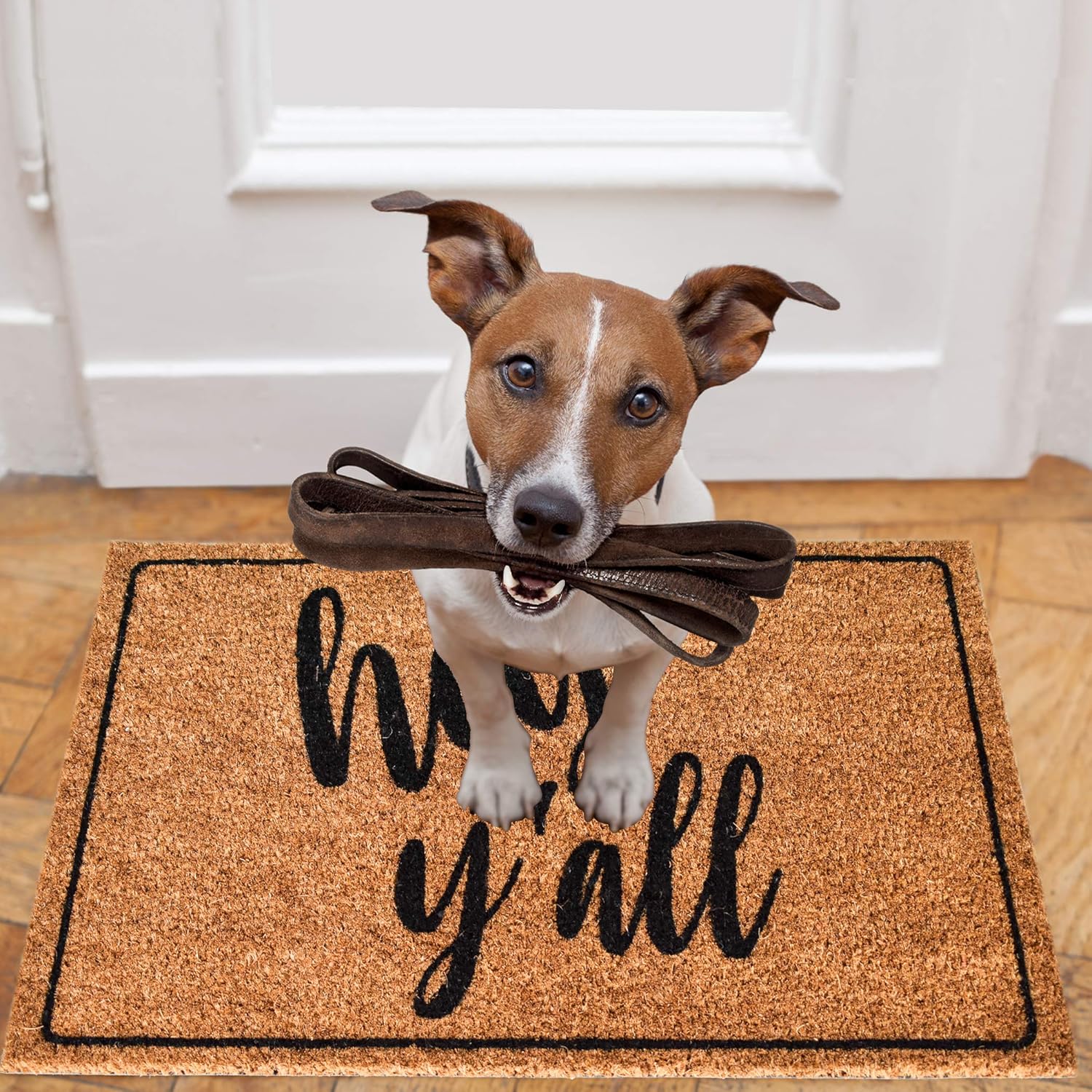 Hey Y'all Natural Coir Door Mat